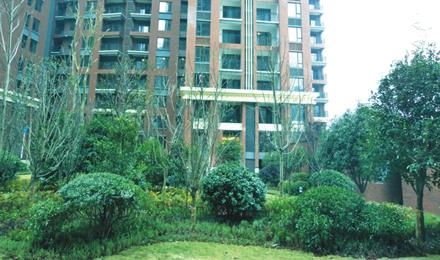 長(zhǎng)沙·華潤(rùn)鳳凰城A區(qū)景觀(guān)工程